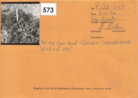 Click for 2 image(s) for this accession. Field